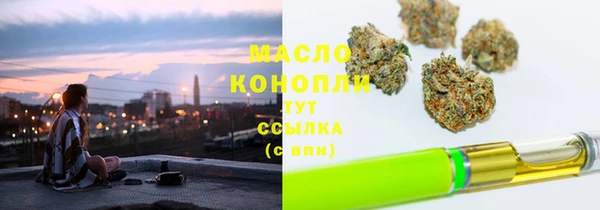 индика Алагир