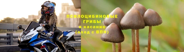 альфа пвп Богородицк