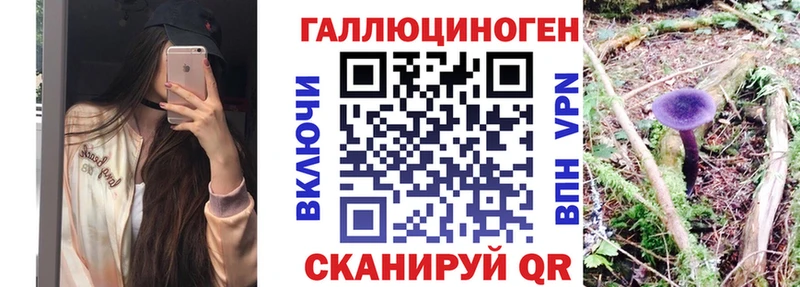 Псилоцибиновые грибы Psilocybe  Горняк 